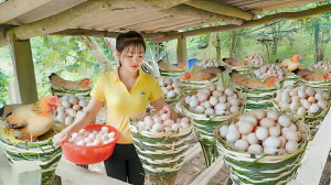 Плету корзинки для кур несушек. Продаю свежие куриные яица на местном рынке. Жизнь во Вьетнаме