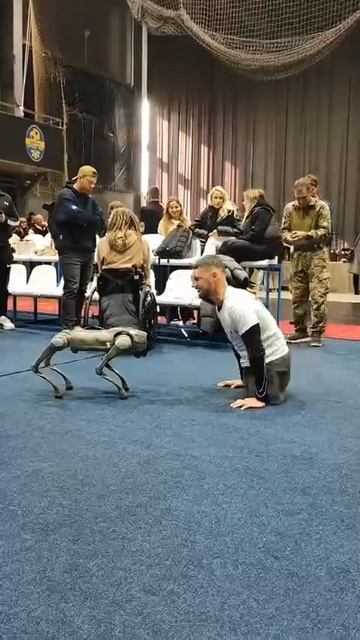 киберпанк третьего свинорейха смотреть онлайн