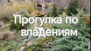 Прогулка по саду и теплице!