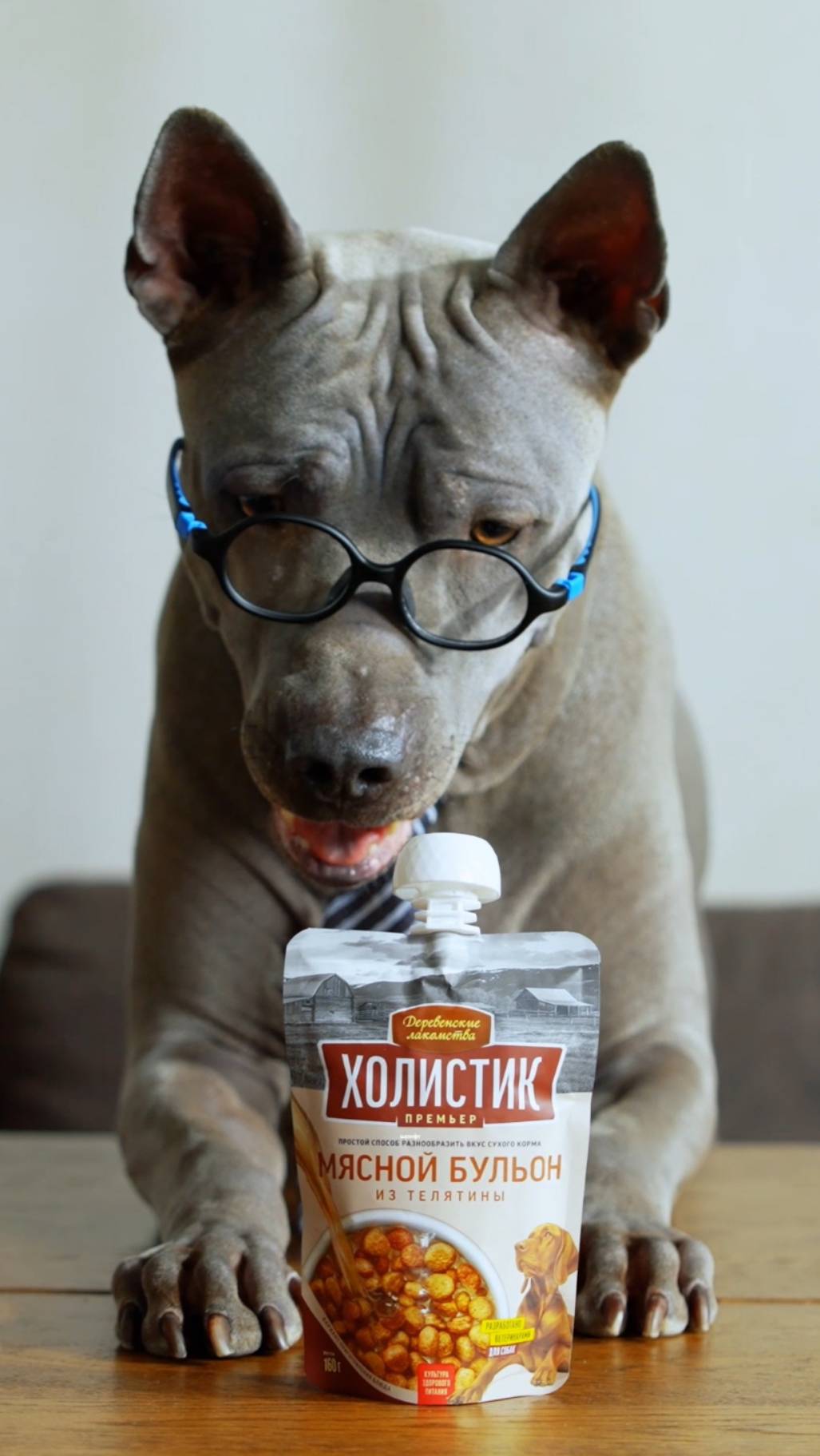 Знакомьтесь с новыми героями «Пушистого офиса». Все роли исполняют питомцы сотрудников «Ленты»! смотреть онлайн