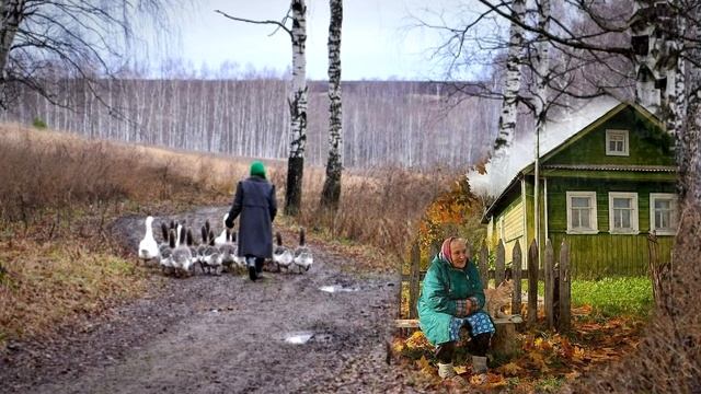 На деревне туман