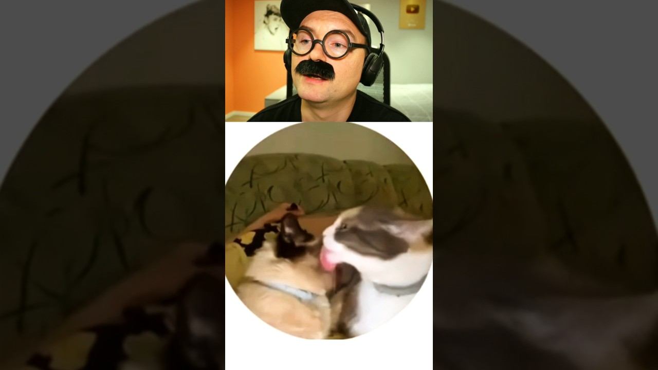 От любви до ненависти один кусь смотреть онлайн