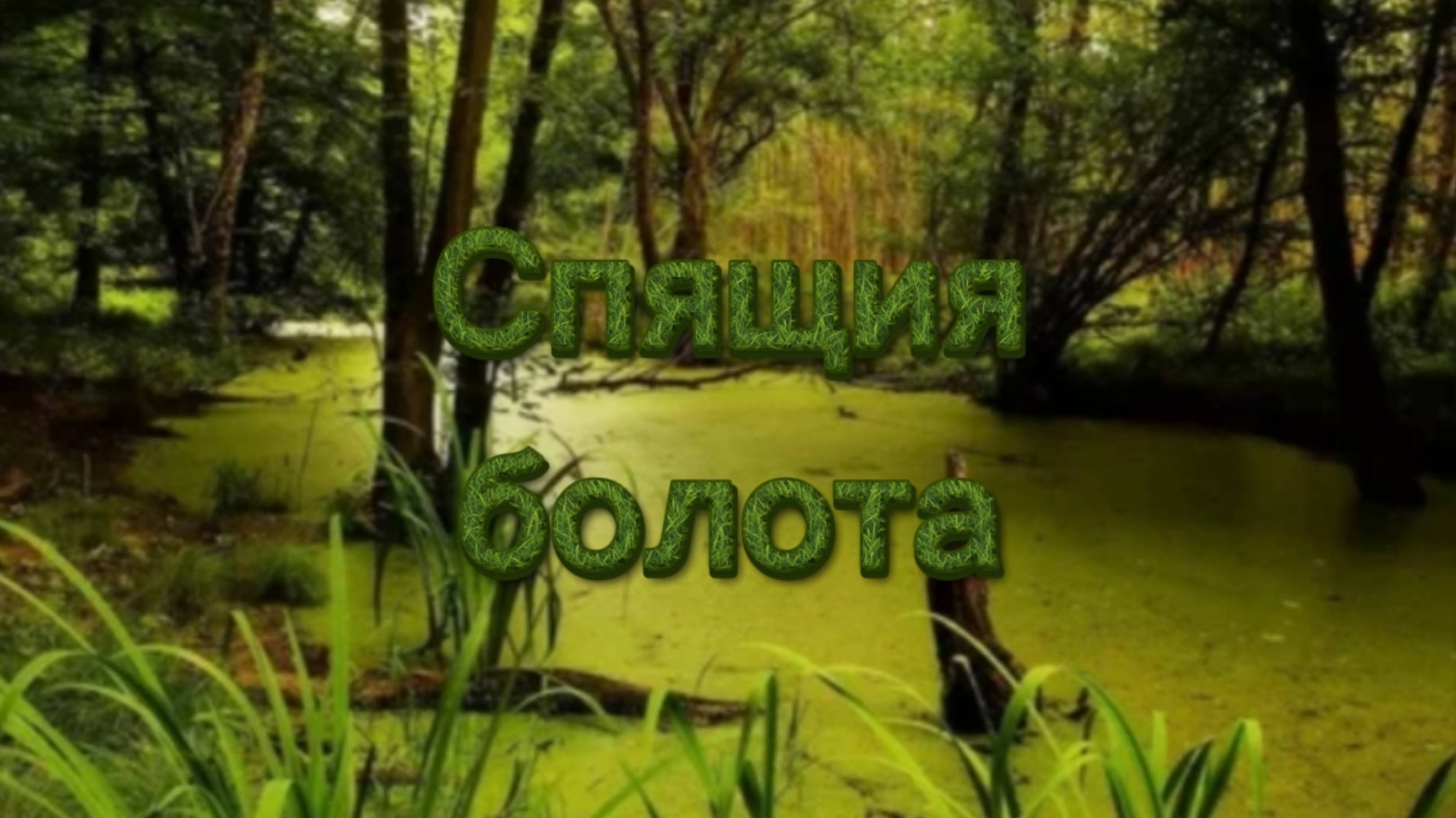 Я играю в стикманы 2 на уровне спящие болота