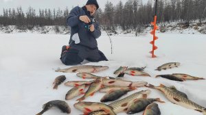 ЛОВИМ СО ЛЬДА МЕШКАМИ! ТУТ ЕЕ ТОННЫ! ЗИМНЯЯ РЫБАЛКА СРЕДИ ВУЛКАНОВ часть 2