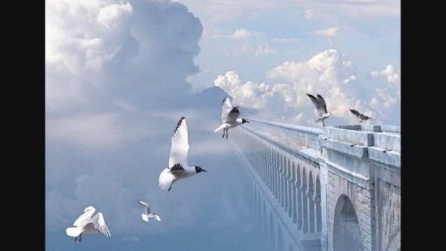 PLAZMA Angel Of Snow (Ярославу)