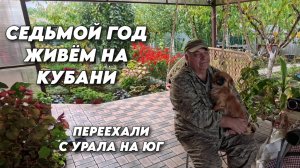 1013 Жизнь семьи на юге/Обзор наших покупок/Приготовила вкусное блюдо