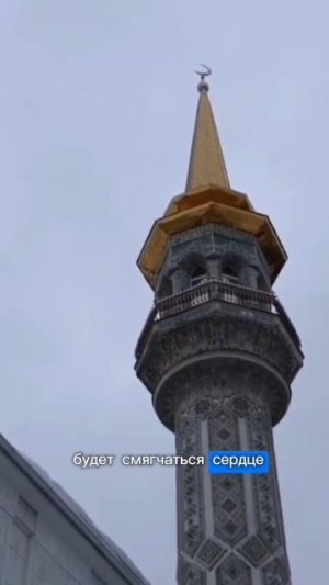 Умные слова