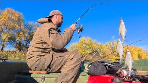 НАЛОВИЛ И ЗАСОЛИЛ ОГРОМНЫЙ ТАЗ РЫБЫ! Встал на яму и тягаю одну за одной. Жирная! Вкусная!