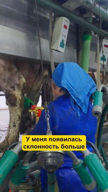 Всю жизнь на ФЕРМЕ! #фермер #коровы #сельскоехозяйство #агро #ферма смотреть онлайн