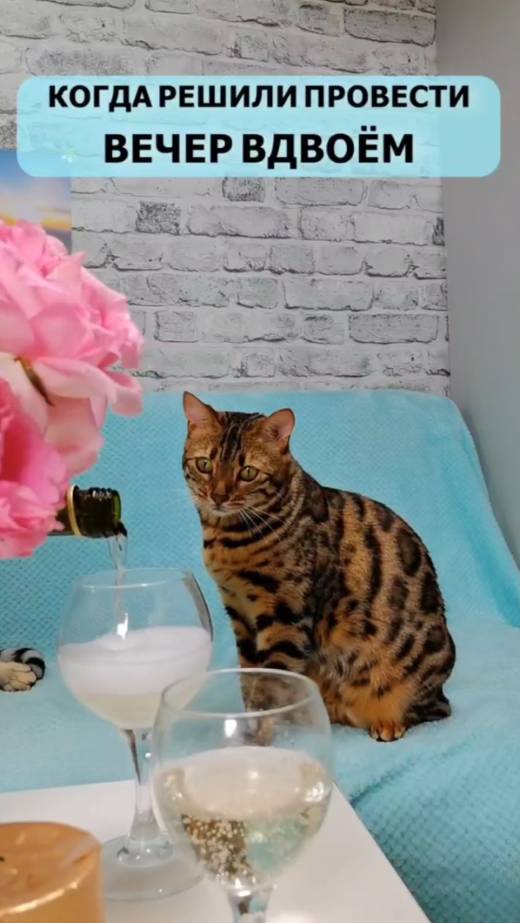 Р-романтика😻