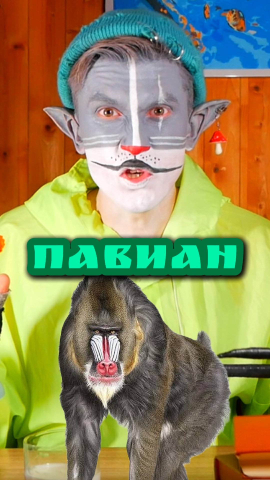 Кот Учёный и Павиан 🐒 смотреть онлайн