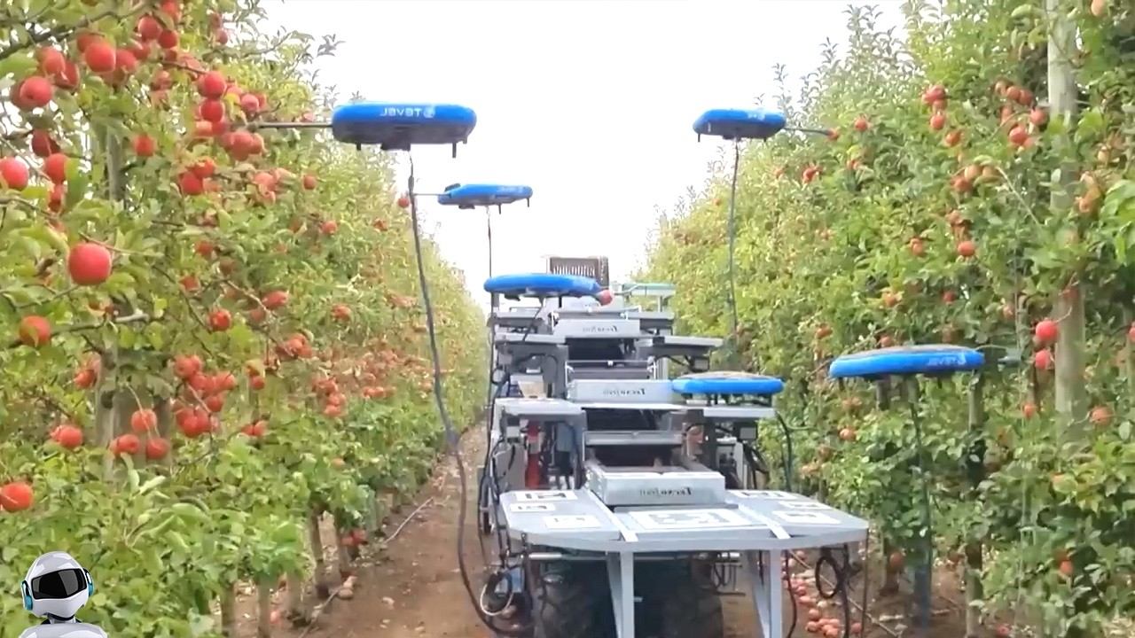 Посмотри Что Бывает! Кадры, в Которые Трудно Поверить смотреть онлайн