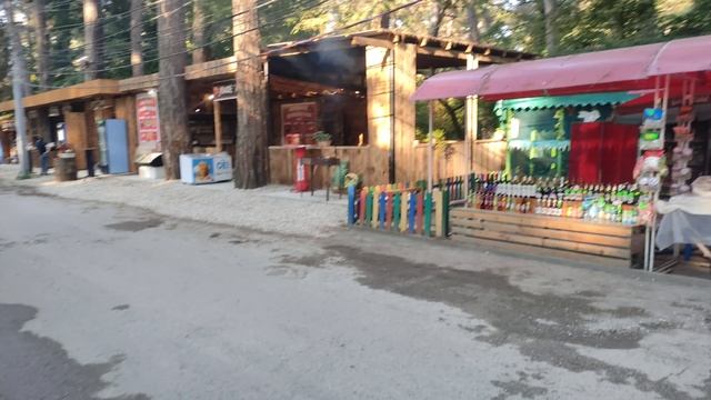 Прогулка в Пицунде