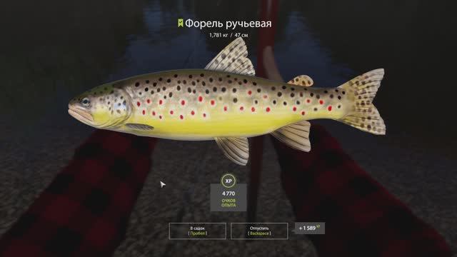 РУССКАЯ РЫБАЛКА 4. РЫБАЛКА ДЛЯ ДУШИ !!! СНОВА РЕКА БЕЛАЯ. смотреть онлайн