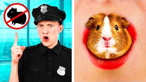 Как Пронести Домашних Животных в Самолёт | Смешные Ситуации и Неудачи от TeamTeen Challenge