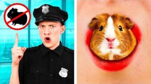 Как Пронести Домашних Животных в Самолёт | Смешные Ситуации и Неудачи от TeamTeen Challenge