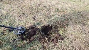 Как я нашёл двушку Павла 1. Поиск с металлоискателем EQUINOX 900 #32