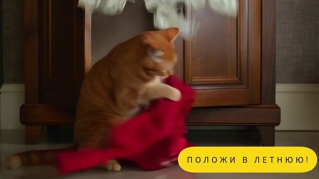 В каждой шутке есть доля шутки) смотреть онлайн