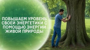 Повышаем уровень своей энергетики с помощью энергии живой природы