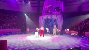 Цирк Тюмень