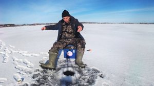 Первый лёд  2025 - 2026. Зимняя рыбалка на окуня.