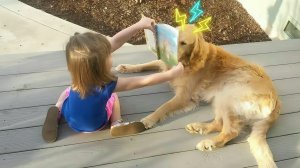 Преступление и наказание для животных. Смешное поведение животных на проступки