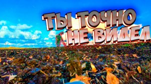 Возможности металлоискателя за 15 тысяч! Тест FINDX Pro!