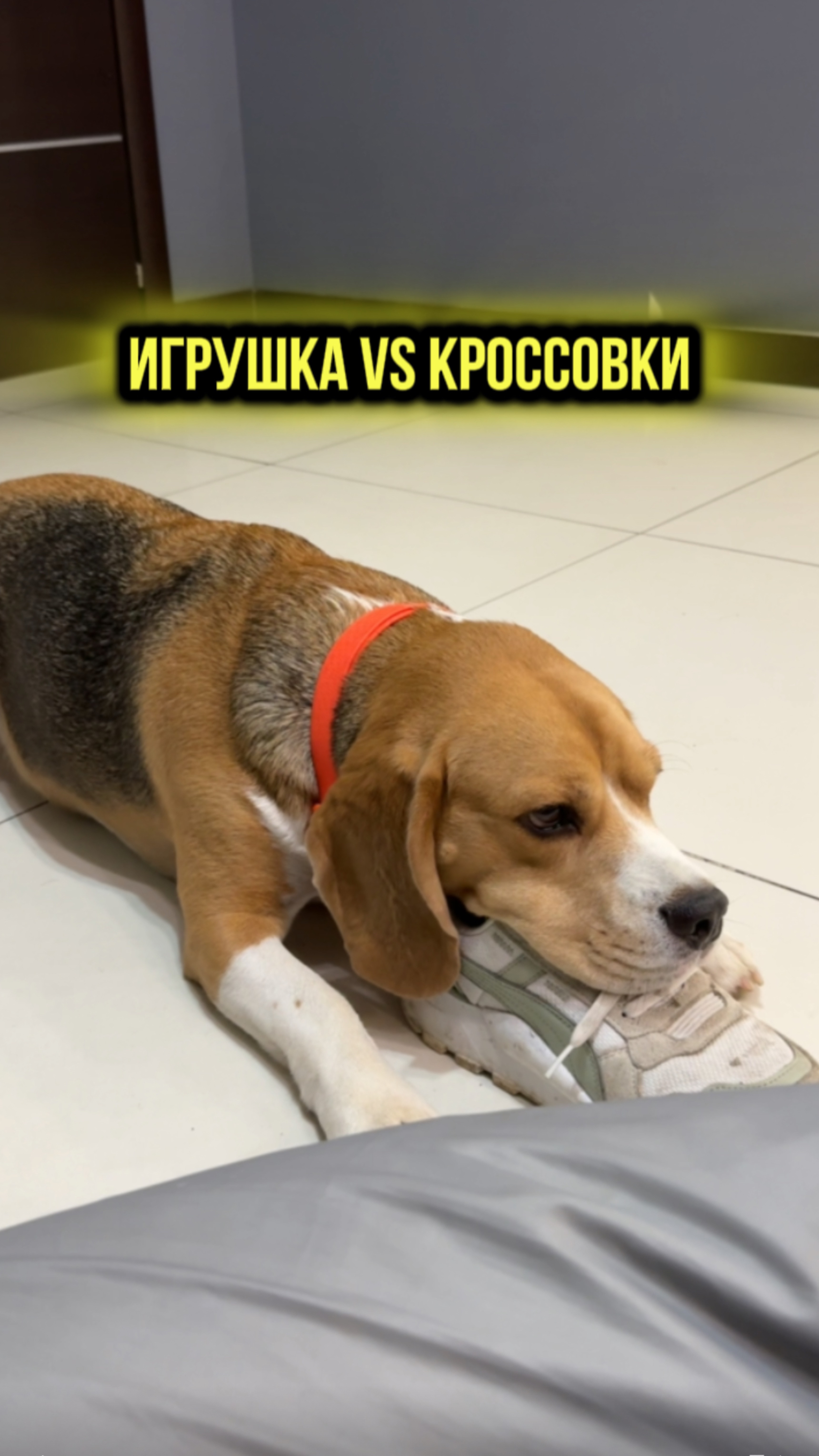 ПУПУПУ😅 смотреть онлайн