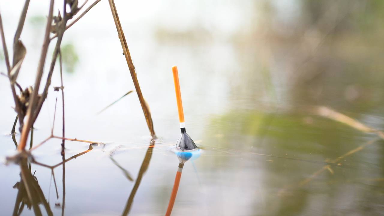 Рыбалка на поплавок в красивом заливе от Волги. Ловля на поплавочную удочку смотреть онлайн