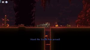 МОЛВИН ТЕРРАРИЯ ЛЕГЕНДАРНАЯ СЛОЖНОСТЬ #3