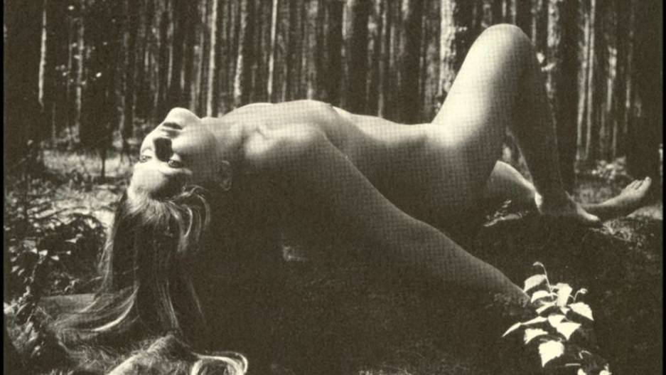 Современная сексология предисловие часть 1