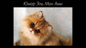 VID-20250514-WA0000