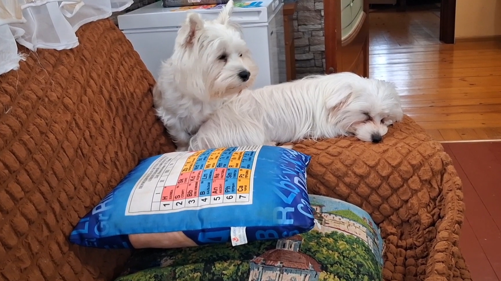 Бедные дети устали смотреть...как родители солят капусту... смотреть онлайн