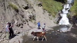 Где вы орлы Кавказа?