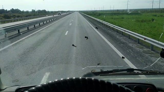 ЛД: попытка опередить время смотреть онлайн