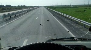 ЛД: попытка опередить время