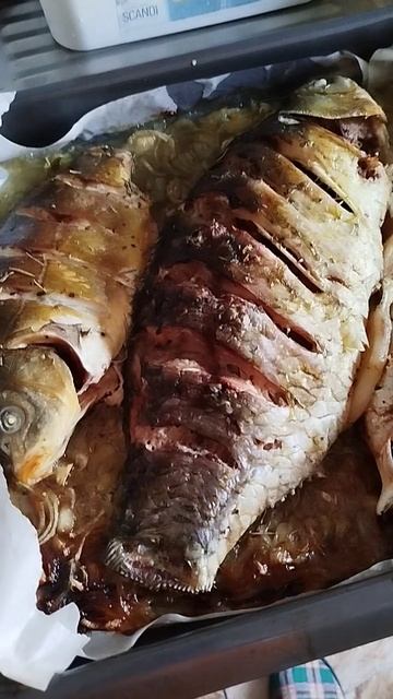 Приятного аппетита killer fish 🐟 смотреть онлайн