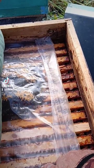 Вентиляция в зиму при зимовки в амшаннике 🐝 смотреть онлайн