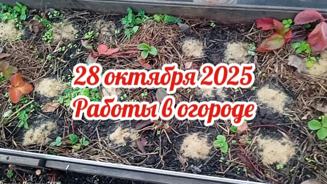 Работы в огороде в конце октября смотреть онлайн