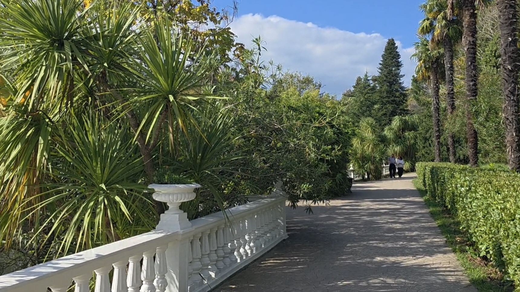 Парк Южные Культуры, Адлер, Сочи (ноябрь 2025) смотреть онлайн