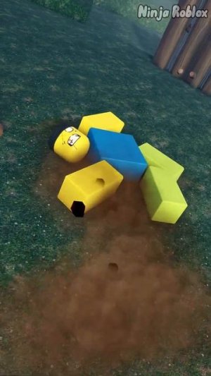 Когда девочка просит у нуба птичку киви в фильме "99 ночей в лесу"