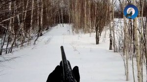 ОХОТА НА ЗАЙЦА. КАКОВО ЭТО БЕГАТЬ ЗА ЗАЙЦЕМ ПО КУСТАМ И БОЛОТУ