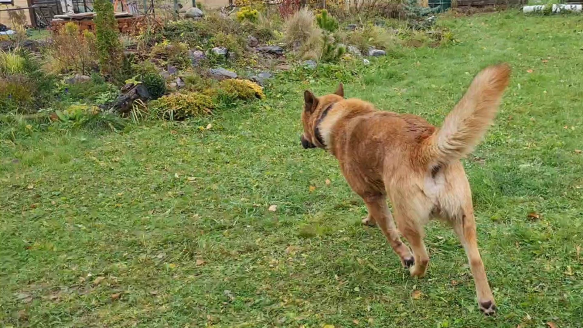 Неспешное утро, совместная прогулка и капризы Интернета смотреть онлайн