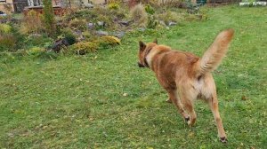 Неспешное утро, совместная прогулка и капризы Интернета