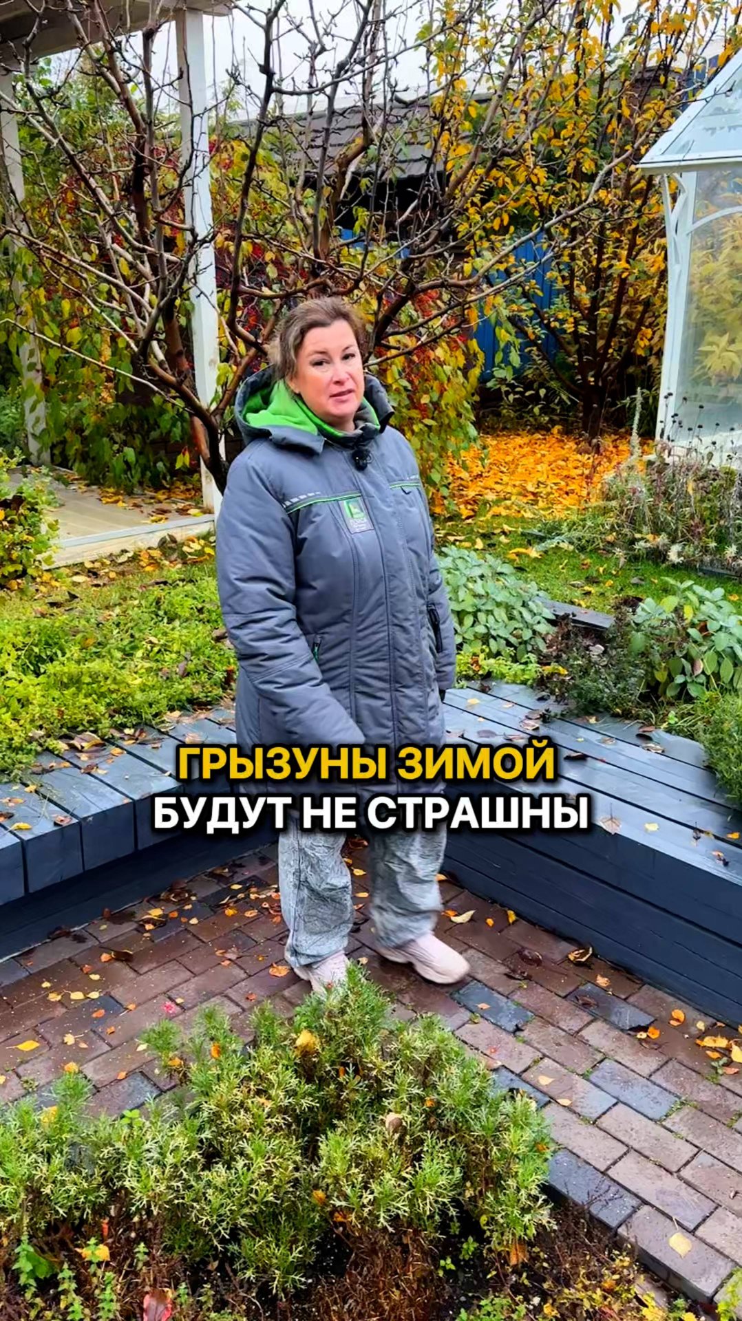 Грызуны зимой будут не страшны, если сделать ТАК!