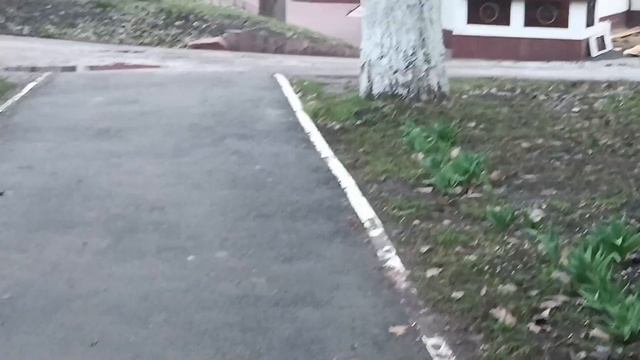 У Церкви стояла карета..... НЕВЕСТА ВСЕХ КРАШЕ. БЫЛА. смотреть онлайн