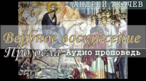 Вербное воскресение. Про осла. (АУДИО). Протоиерей Андрей Ткачев 2017 год.