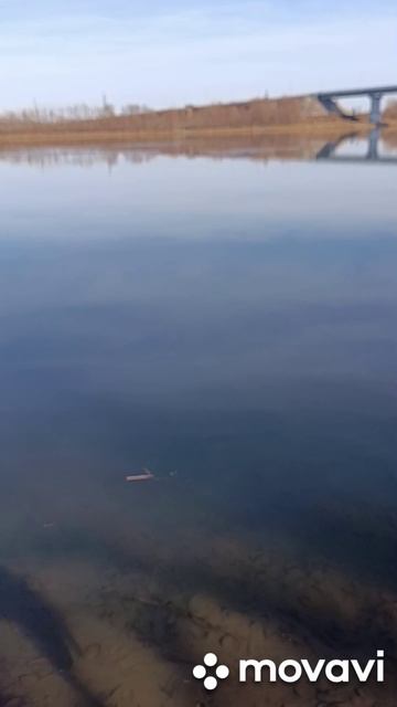 три находки на поисковый магнит