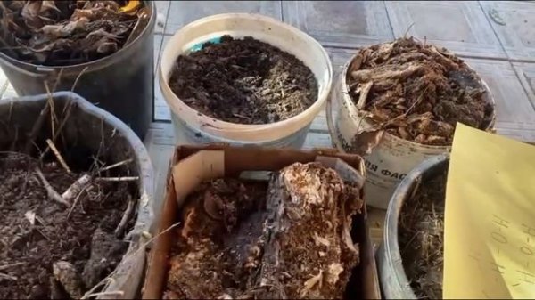 Жизнь в земле и на Земле. Часть вторая.