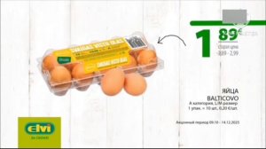 Рекламный блок И Программа Передач (Плюсовое 02.11.2025)